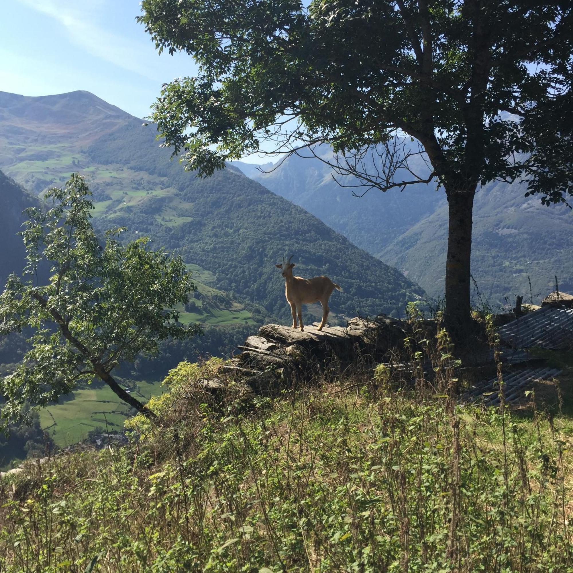 La Petite Maison Des Montagnes リュス・サン・ソヴァール エクステリア 写真